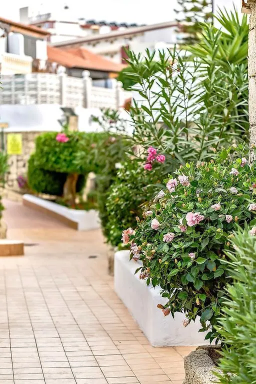 Apartment In Paraiso Royal 플라야데라스아메리카스